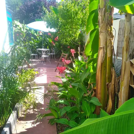 Cocoon, Les Bananiers Ferienhaus